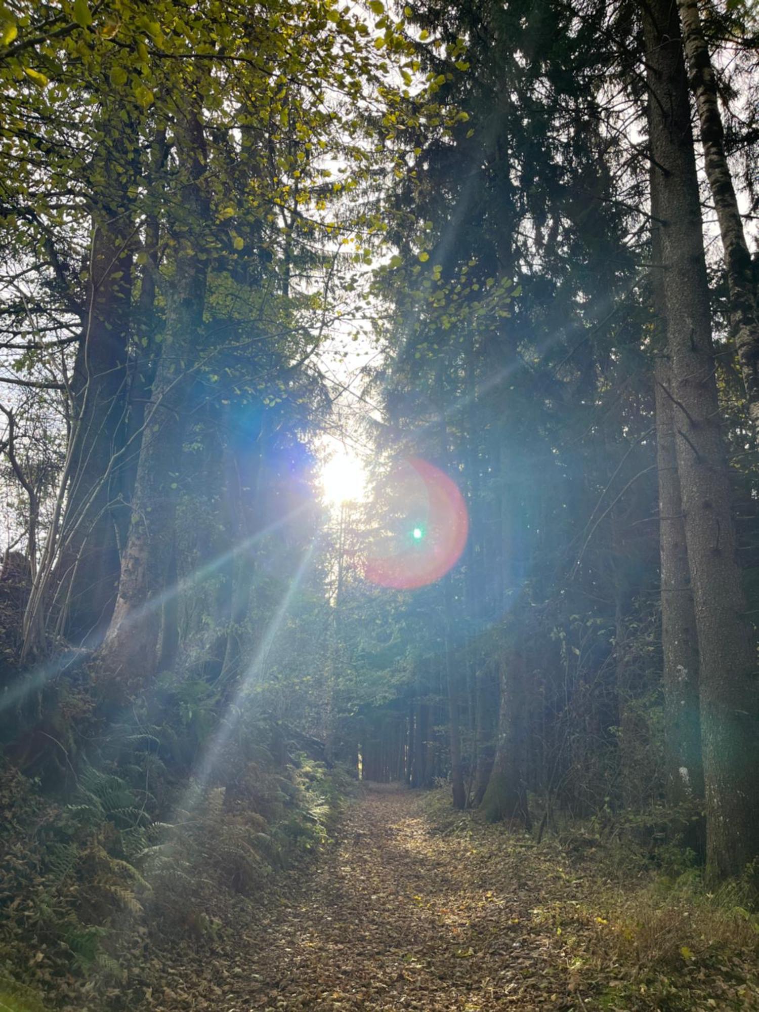 Fewo Loewenherz Seeboden Buitenkant foto