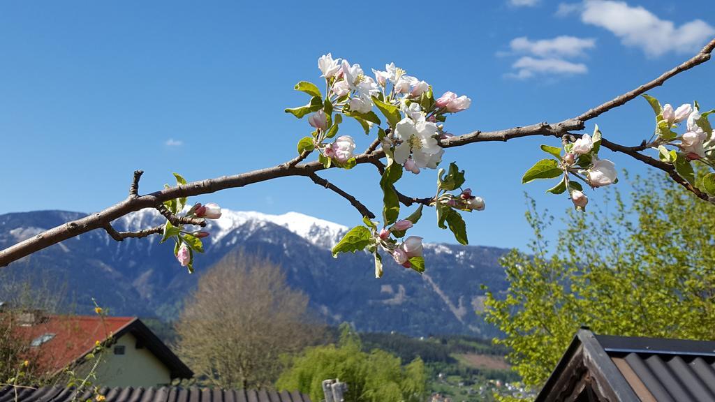 Fewo Loewenherz Seeboden Buitenkant foto